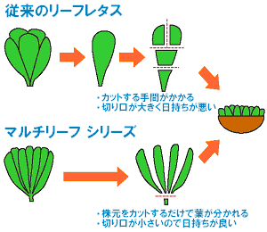 info-009-01