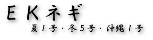 eknegi2
