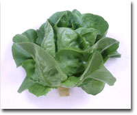 eksaladana3
