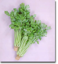haisero3