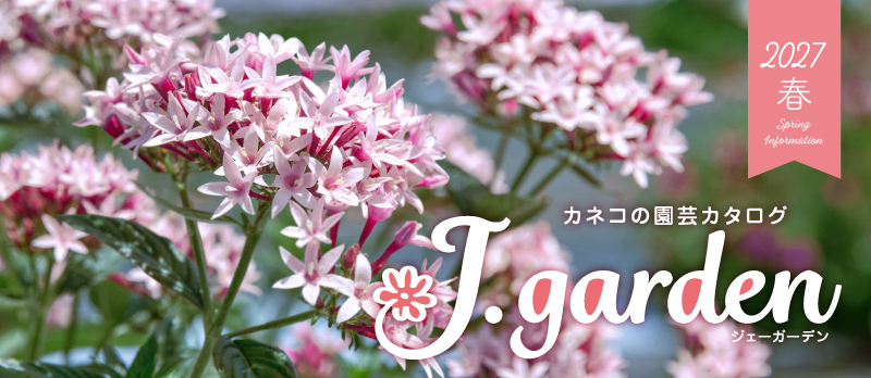 カネコの園芸カタログ『J.garden』最新号
