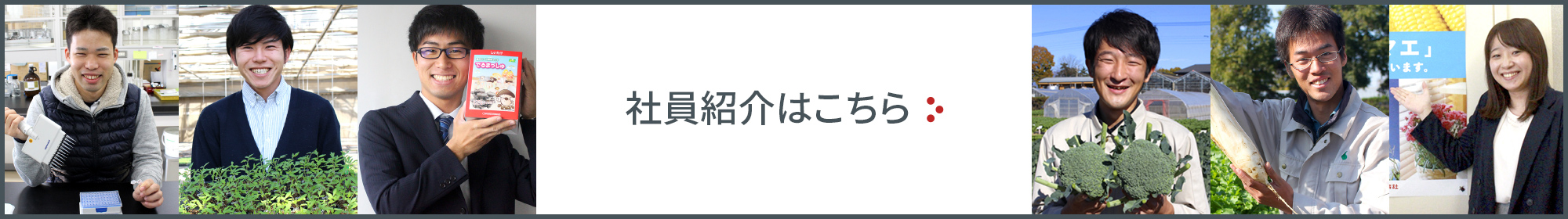 社員紹介はこちら